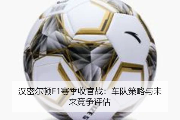 汉密尔顿F1赛季收官战：车队策略与未来竞争评估